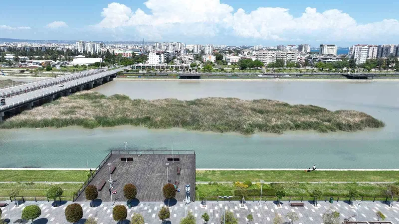 Boğaçayı'nda Kuş Cenneti! 220 Tür Birden Görüldü