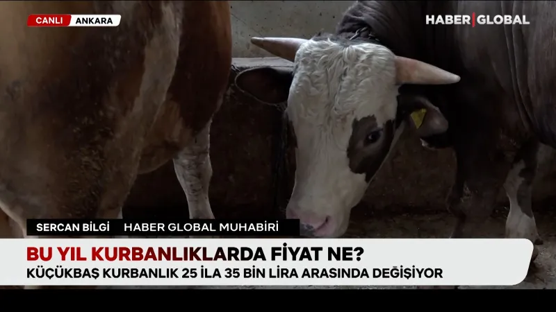 2024 Kurbanlık Fiyatları ŞOK Etti! Bu Fiyatlara İnanmak Zorundasın!