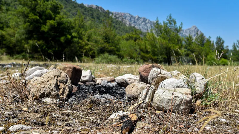 Bunun adı çevre katliamı: Ormanda ateş yaktılar, etrafa cam şişe bıraktılar