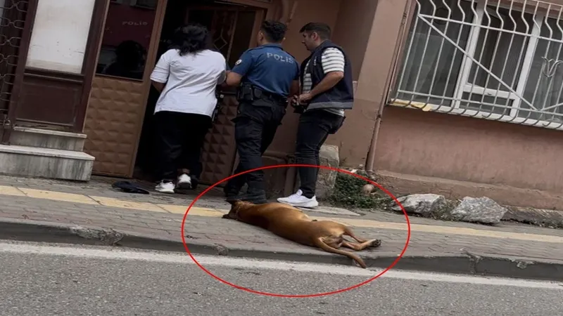 Bursa'da yaşandı! İhbara gelen polislerden birini köpeğine ısırttı, diğerini kendisi ısırdı