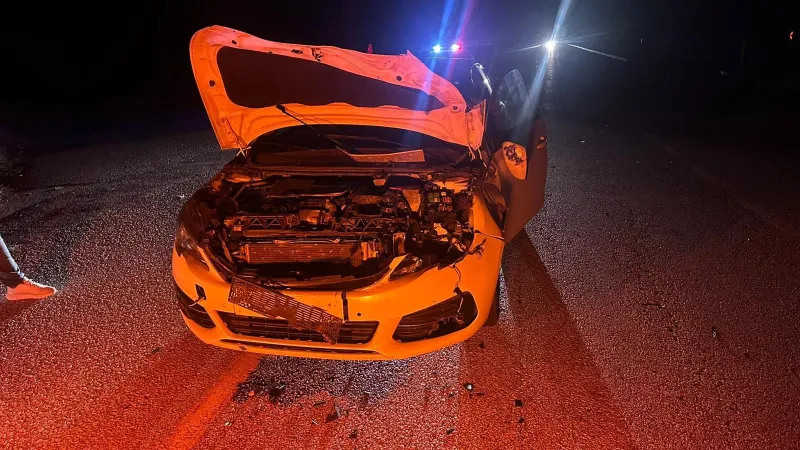 Çorum'da otomobil danaya çarptı: İki yaralı