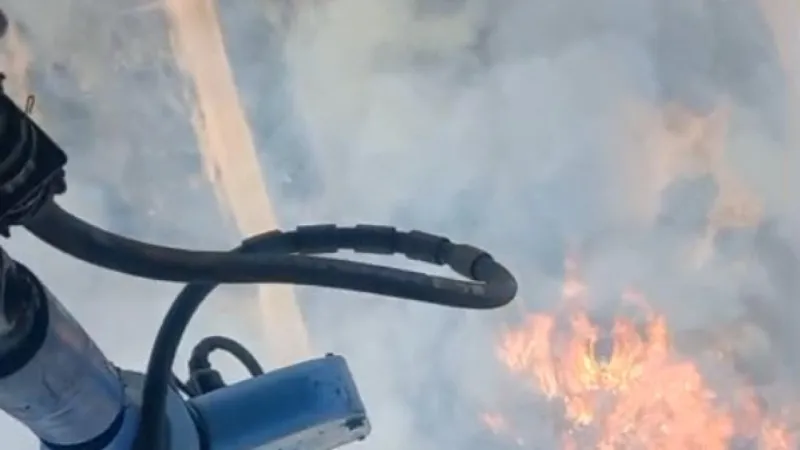 İzmir Kınık'ta orman yangını