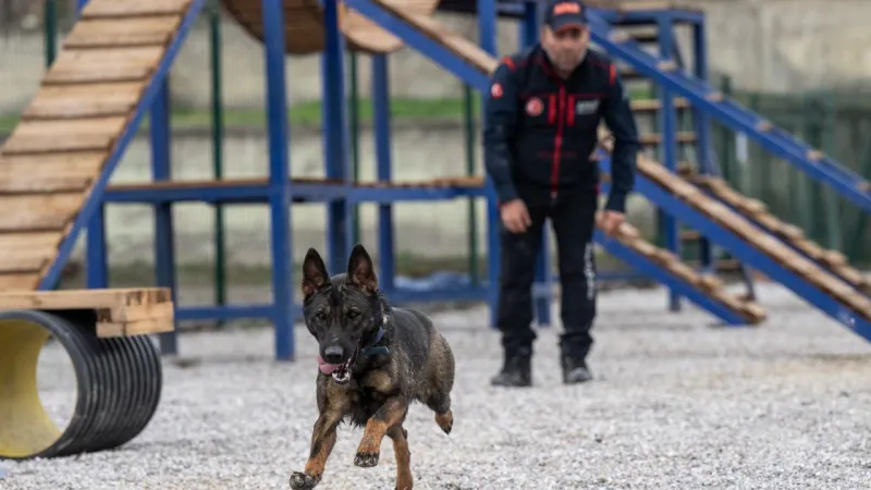 Köpekli Arama Timi Yönetmeliği Yayınlandı! İşte Detaylar