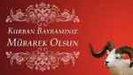 Kurban Bayramı mesajları ile sevdiklerinizi mutlu edin! En güzel, resimli Hayırlı Bayramlar mesajları ve sözleri