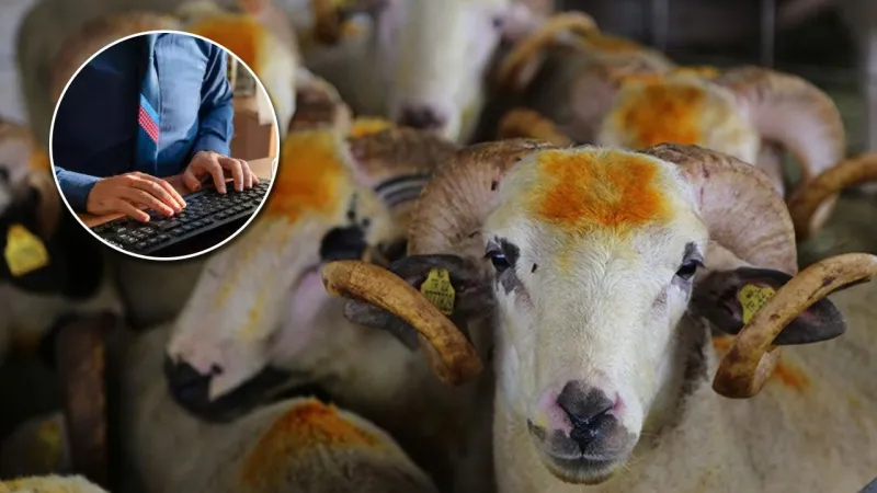 Kurban Bayramı tatil süresi belli oldu