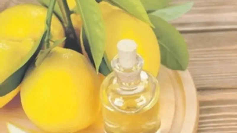 Limon ve Sirke ile Böbrek Detoksu: Mucize mi Gerçek mi?