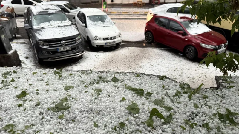 Malatya ve Ardahan'da dolu yağdı