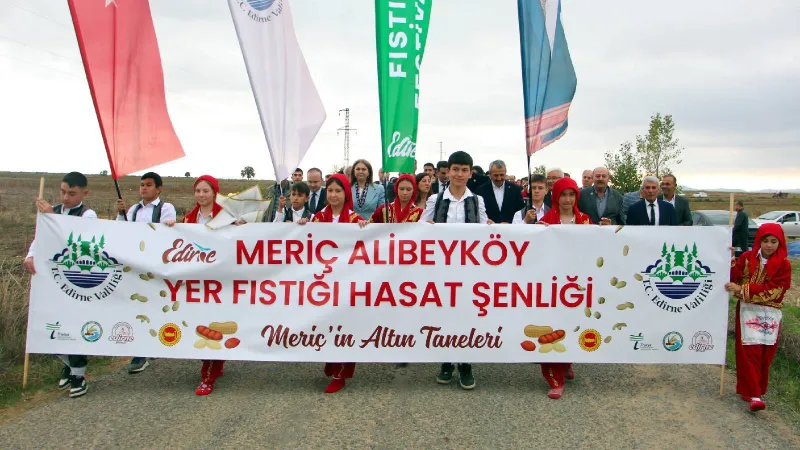 Meriç'te Fıstık Festivali Coşkusu! En Güzel Fıstık Seçildi