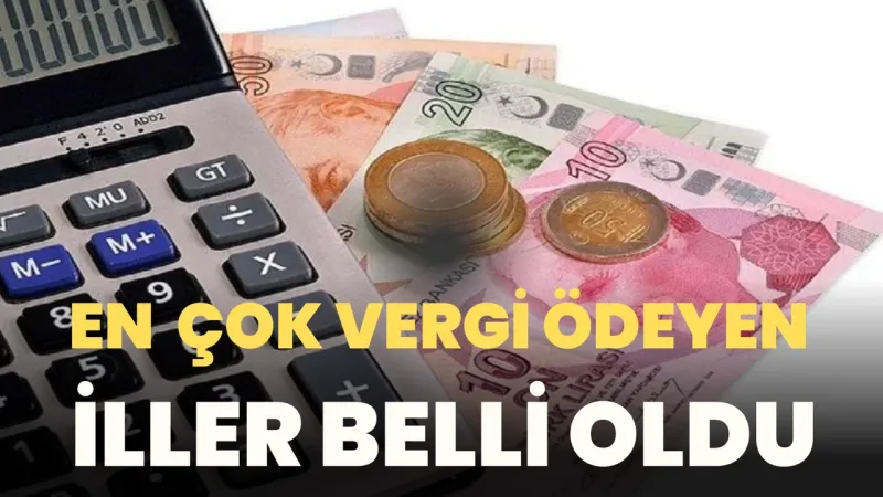 Vergi Rekortmenleri: Hangi İller Zirvede? Şaşırtan Rakamlar!
