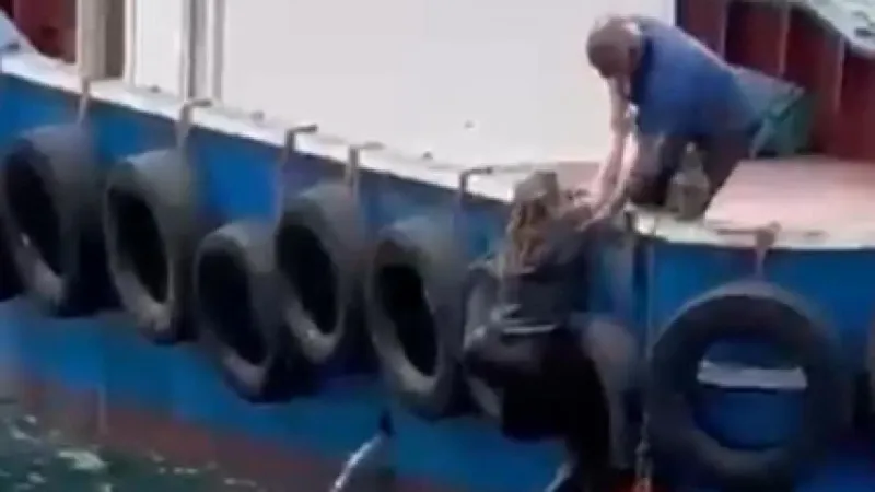 Vapurdan Düşen Kadın Balıkçı Sayesinde Hayatta Kaldı!