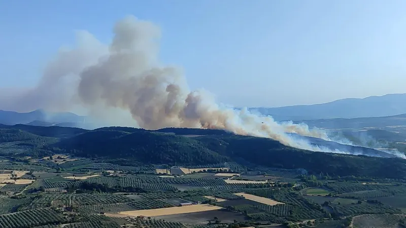 Orman yangınlarıyla ilgili 11 kişi gözaltında