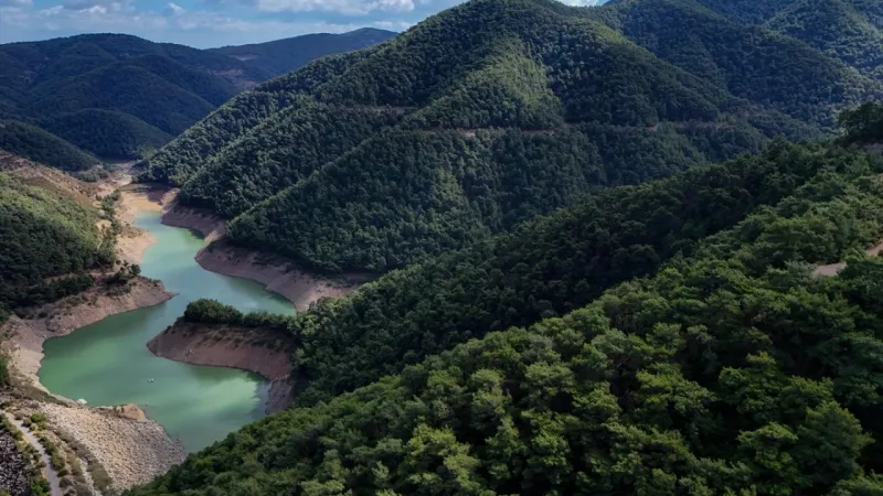 Türkiye'nin orman varlığı yarım asırda 3,2 milyon hektar büyüdü