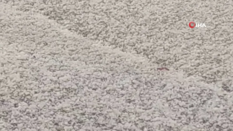 Van'da Şaşırtan Dolu! Şehir Beyaza Büründü!