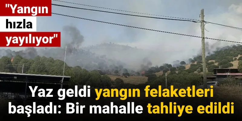 Aydın'da Yangın Alarmı! Mahalleler Boşaltılıyor, Alevler Kontrolde Mi?