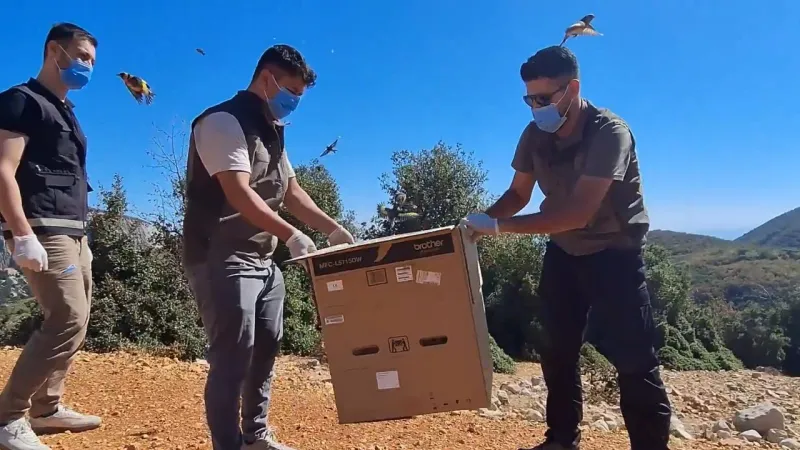 1431 Saka Kuşu Özgürlüğe Uçtu! Kaçakçıların Planı Bozuldu